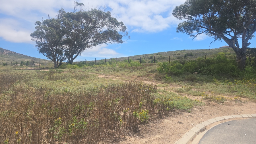 0 Bedroom Property for Sale in St Helena Views Western Cape